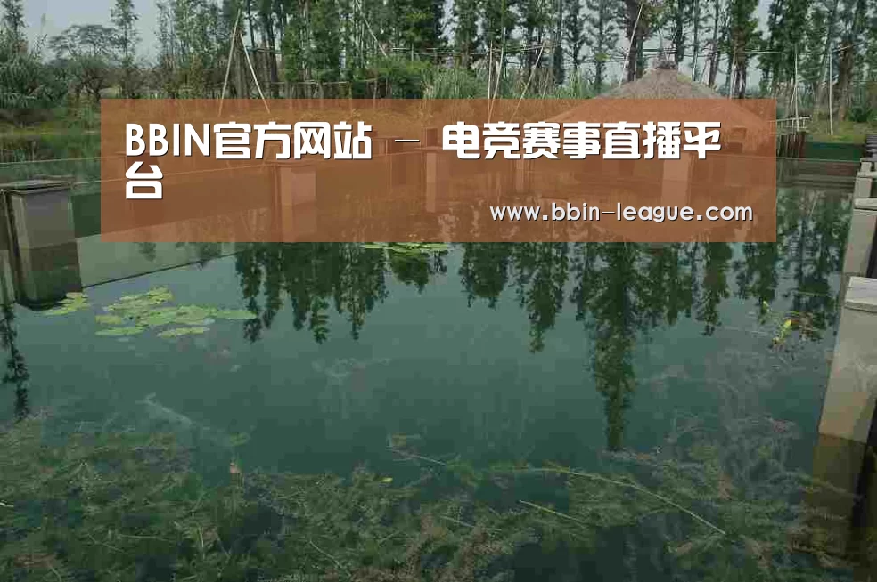 案例展示二(图1)
