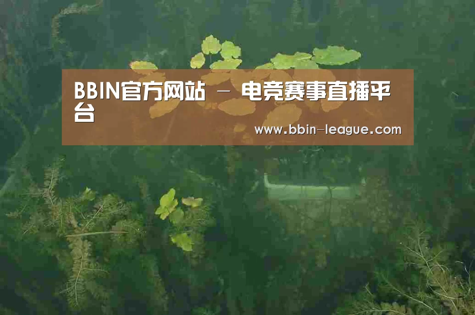 案例展示三(图1)