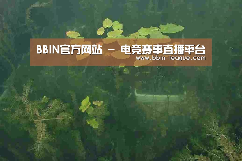 案例展示三