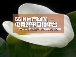 产品名称七