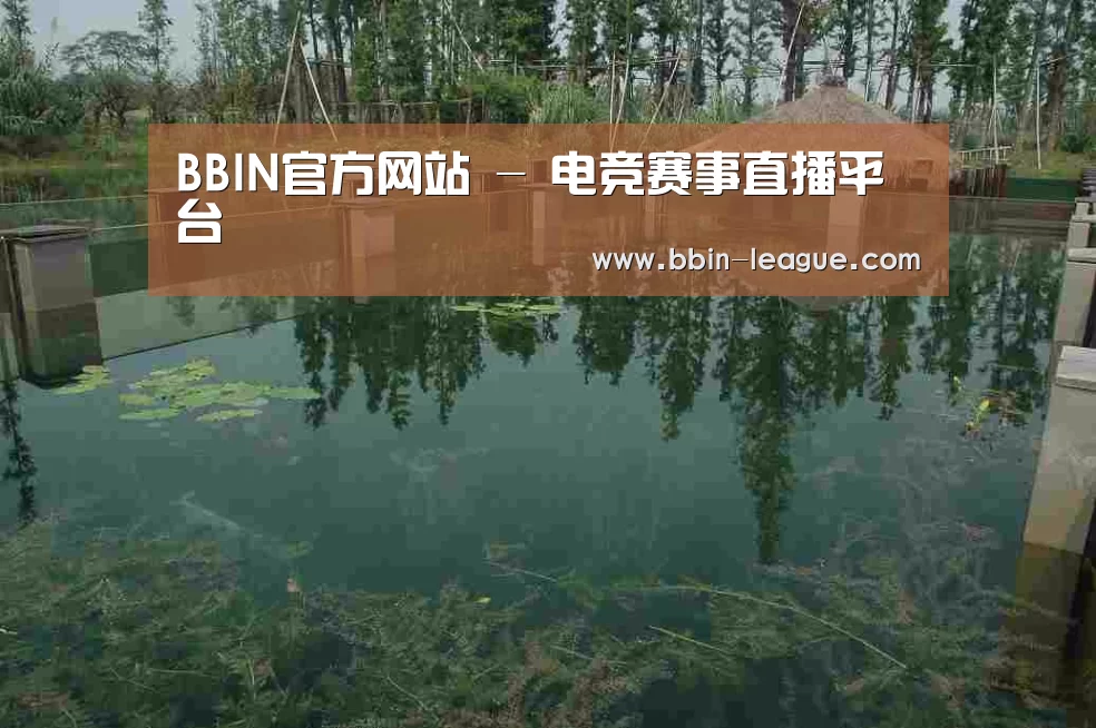 案例展示二