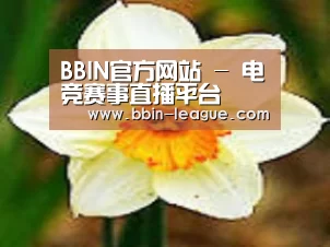 产品名称四
