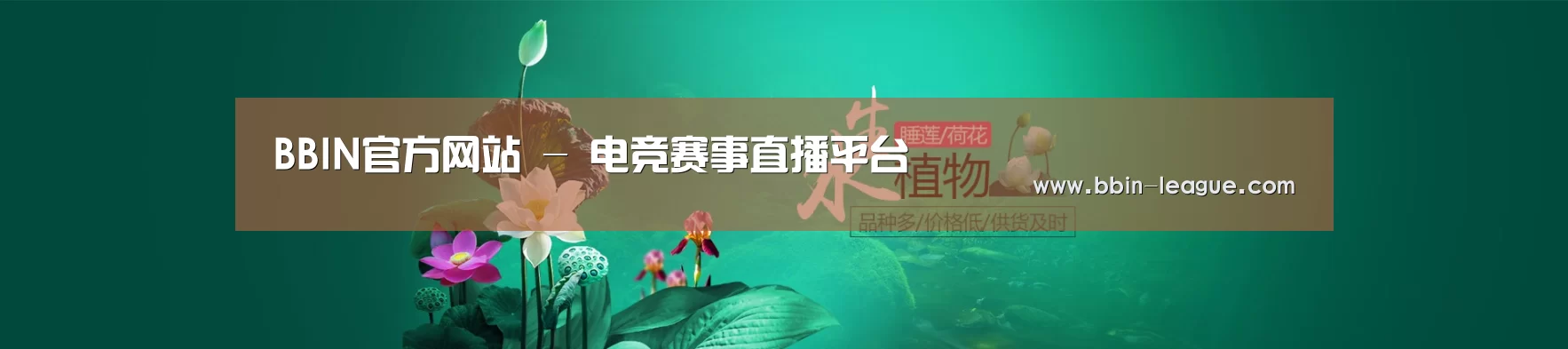 鲜花水草花卉网站模板
