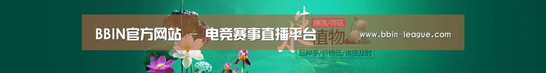 鲜花水草花卉网站模板