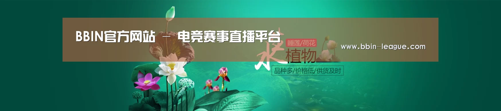 鲜花水草花卉网站模板