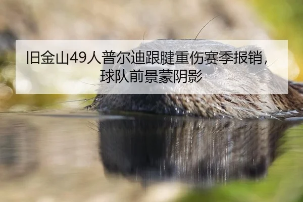 旧金山49人普尔迪跟腱重伤赛季报销，球队前景蒙阴影