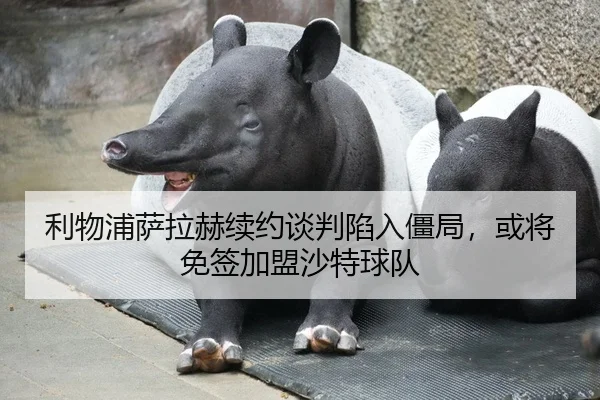 利物浦萨拉赫续约谈判陷入僵局，或将免签加盟沙特球队