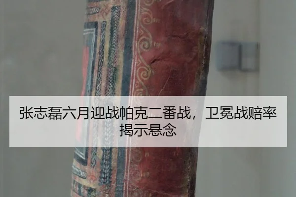 zhang-zhi-lei-liu-yue-ying-zhan-pa-ke-er-fan-zhan-wei-mian-zhan-pei-lv-jie-shi-xuan-nian-2-212.jpg