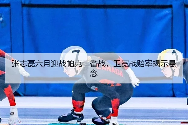 zhang-zhi-lei-liu-yue-ying-zhan-pa-ke-er-fan-zhan-wei-mian-zhan-pei-lv-jie-shi-xuan-nian-3-382.jpg
