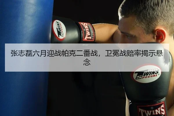 张志磊六月迎战帕克二番战，卫冕战赔率揭示悬念