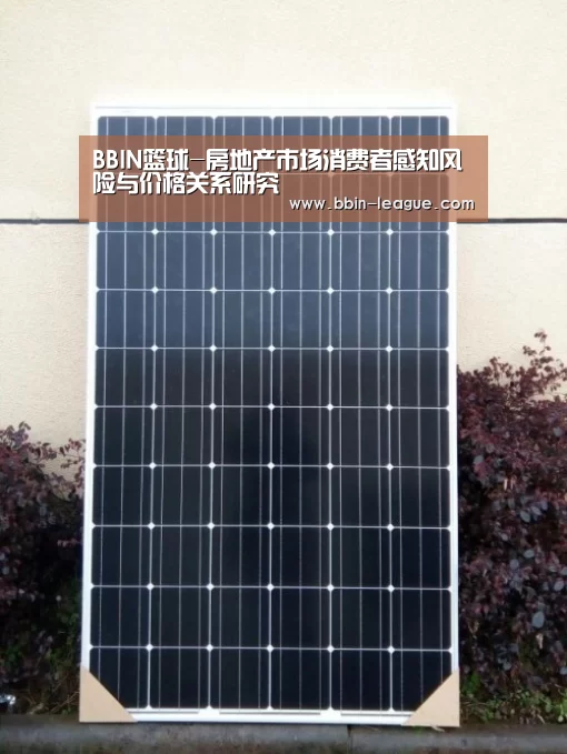 BBIN篮球-房地产市场消费者感知风险与价格关系研究